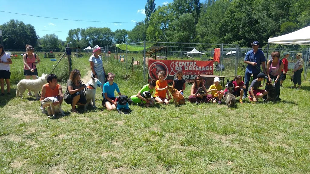 Pas à pattes - photo 3