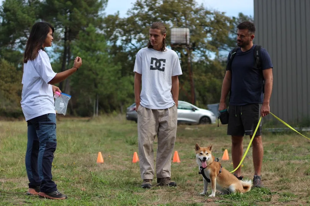 Uncianimals Educateur canin comportementaliste - photo 3