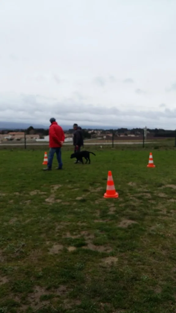 Club Canin de Villemoustaussou