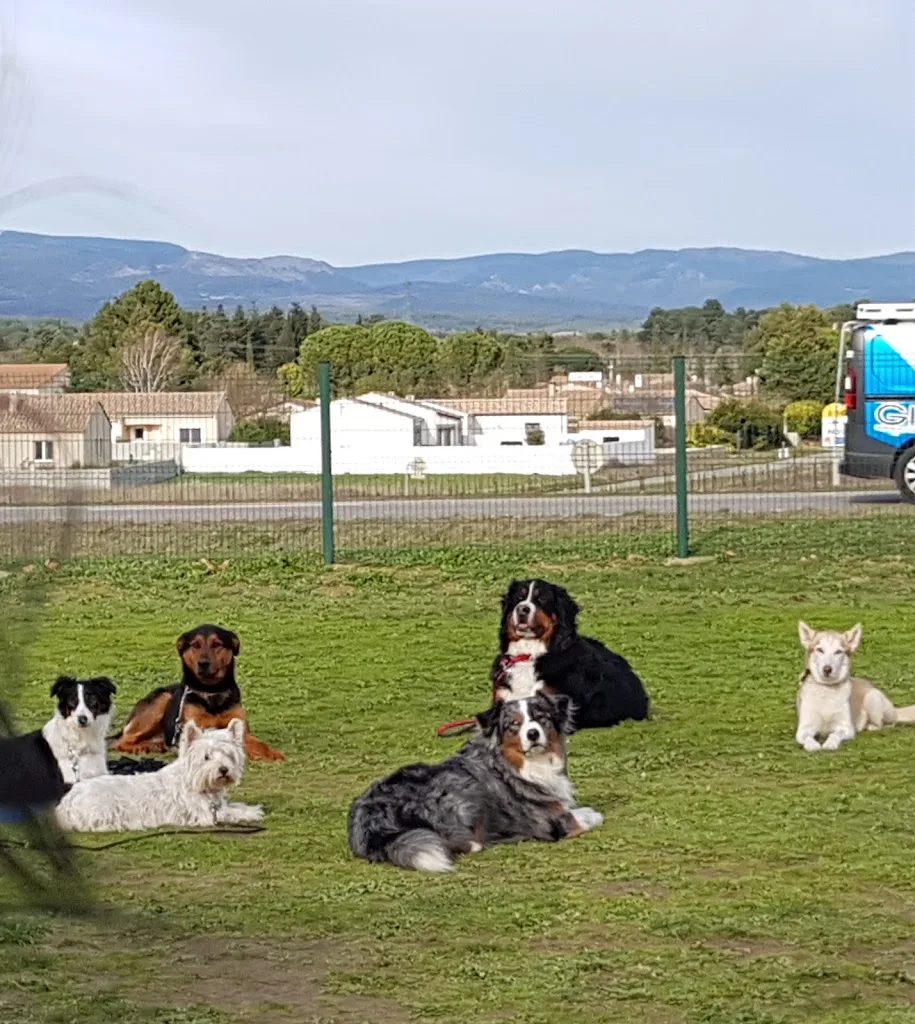 Club Canin de Villemoustaussou - photo 2