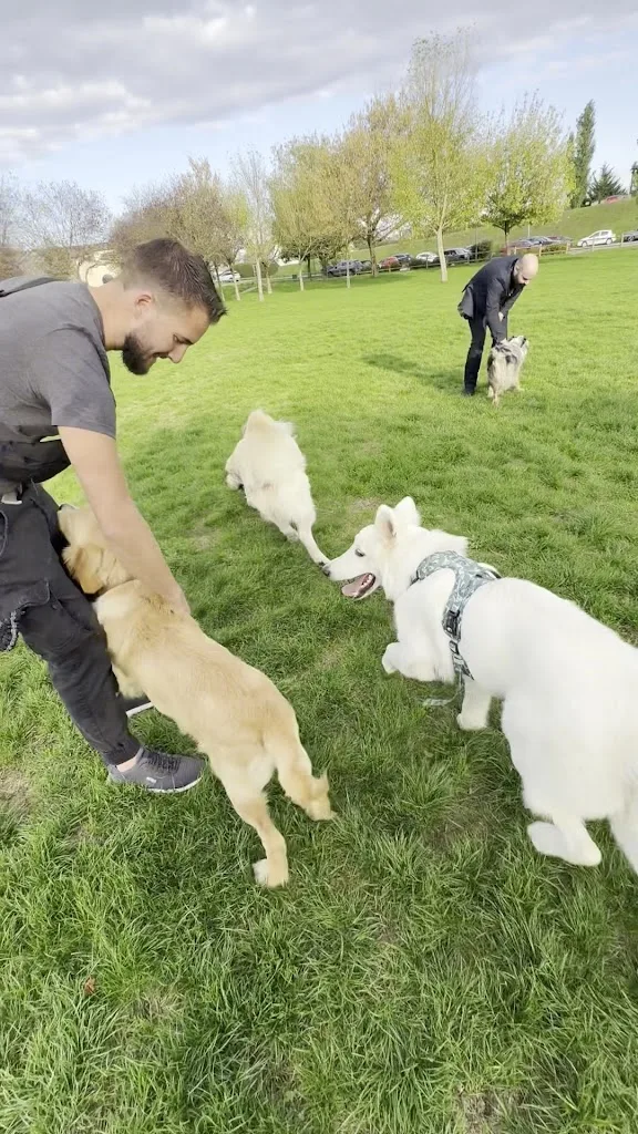 EDU'COEUR CANIN - photo 1
