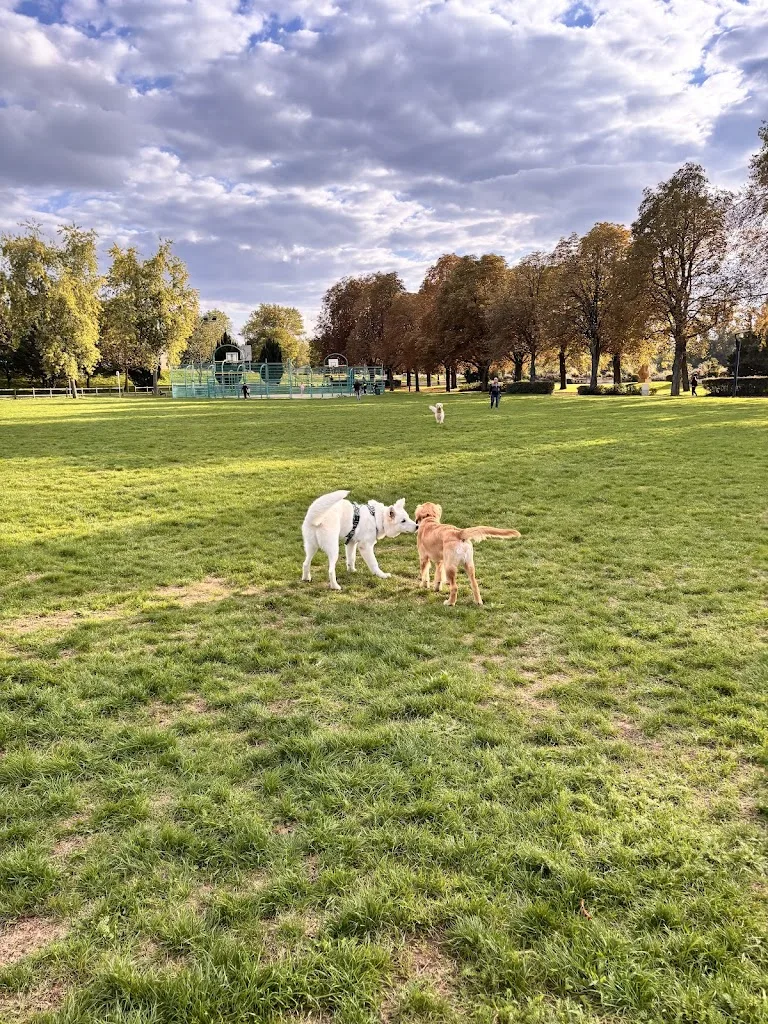 EDU'COEUR CANIN - photo 2
