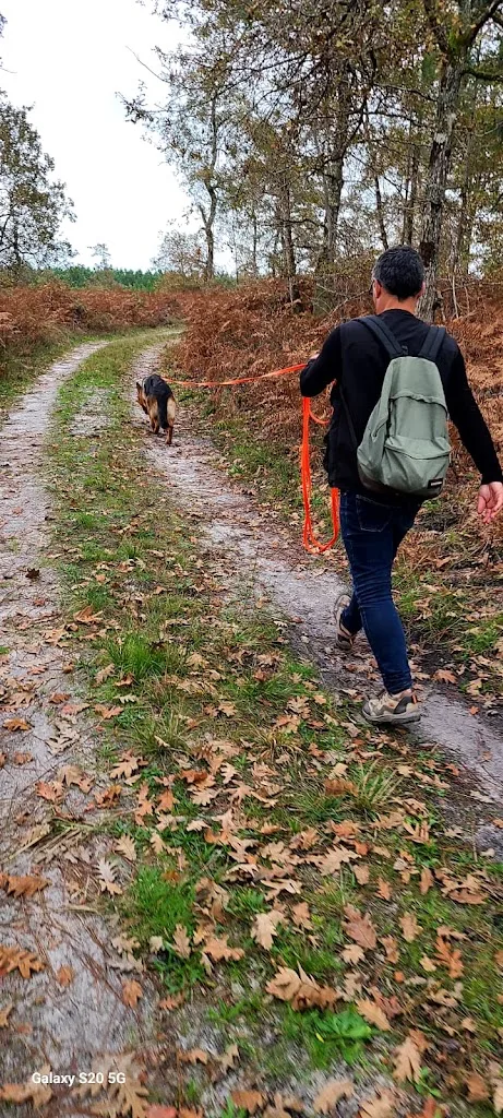 Les Canins de l'Ouest - photo 1