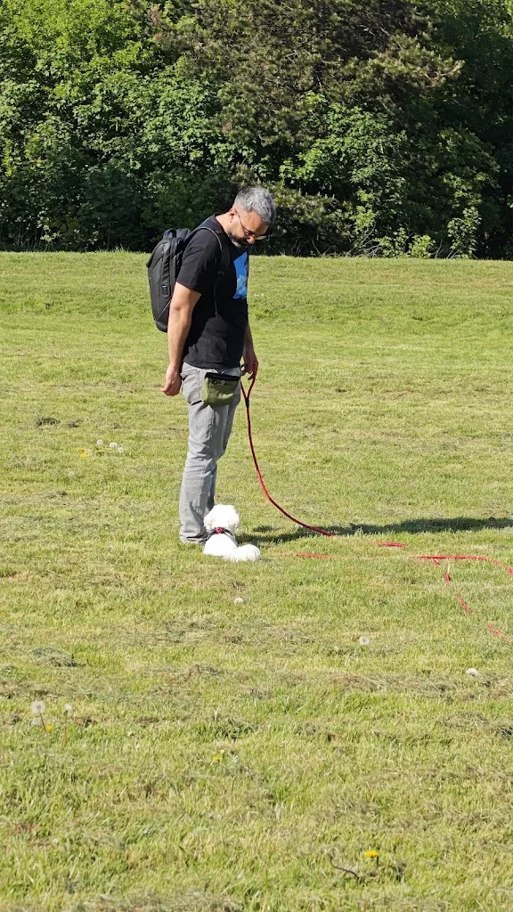 Comme Chiens et Chats - Éducateur Comportementaliste et Pet Sitter - photo 2