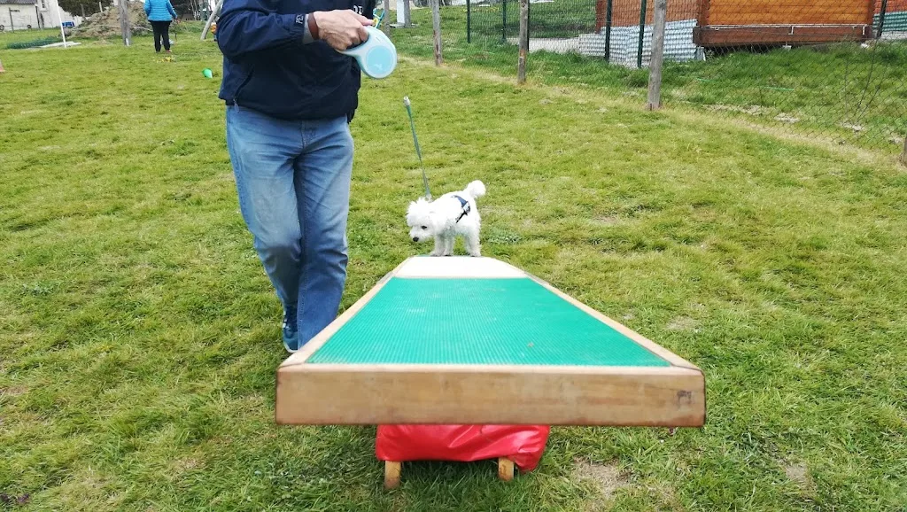 A la bonne patte - photo 4