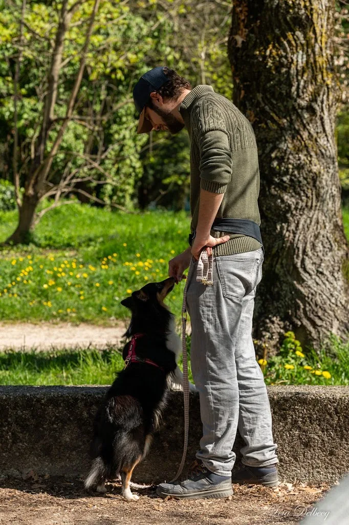 Looky Dog - Éducateur Canin Comportementaliste Grenoble - photo 2