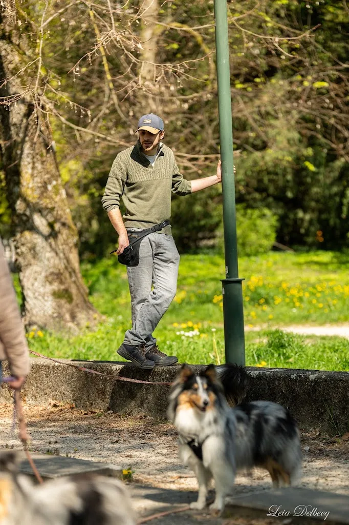 Looky Dog - Éducateur Canin Comportementaliste Grenoble - photo 3