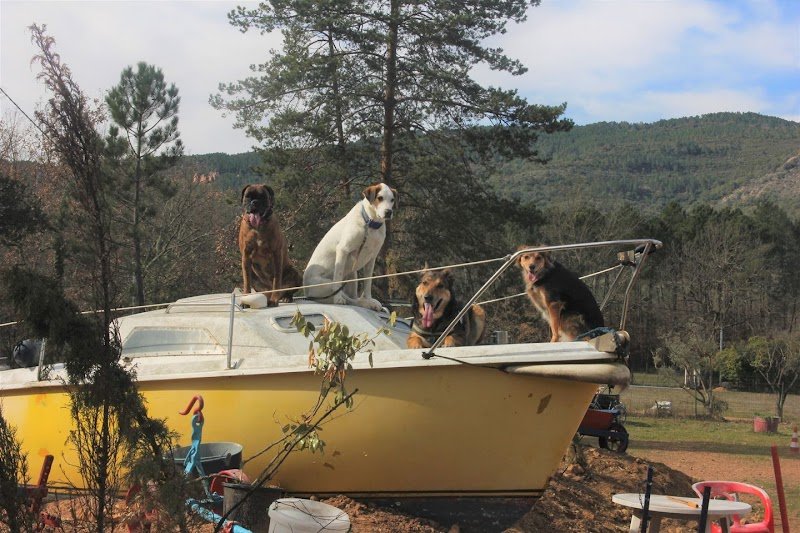 Club Canin Philippe Moguez - photo 2