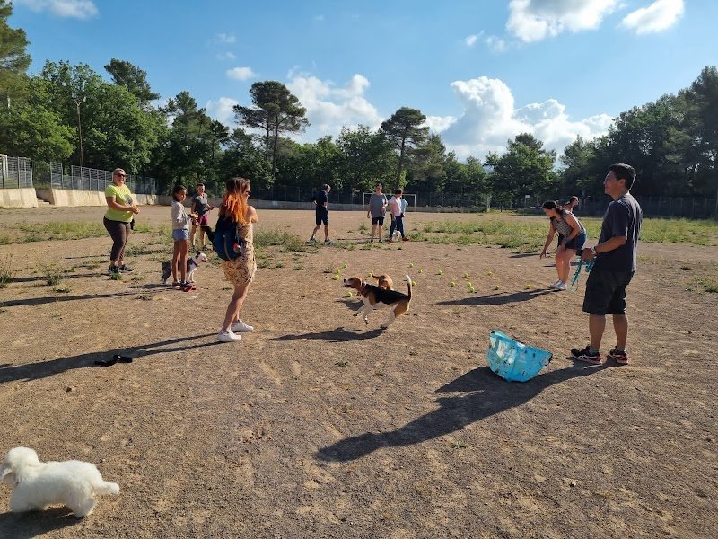 My Dog School - photo 2