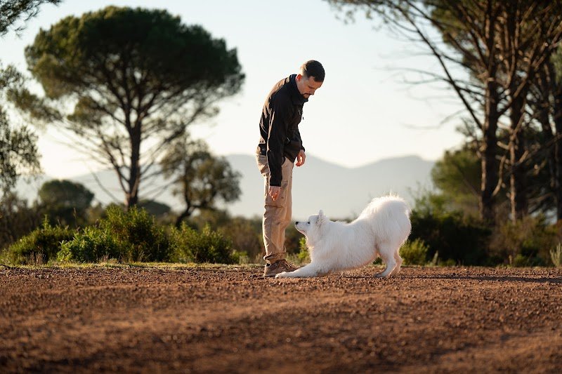 Uni O Canin - photo 2