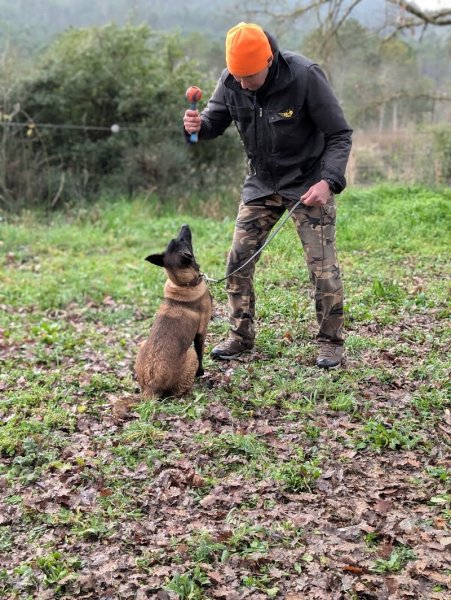 Educateur canin Humanocanis - photo 3