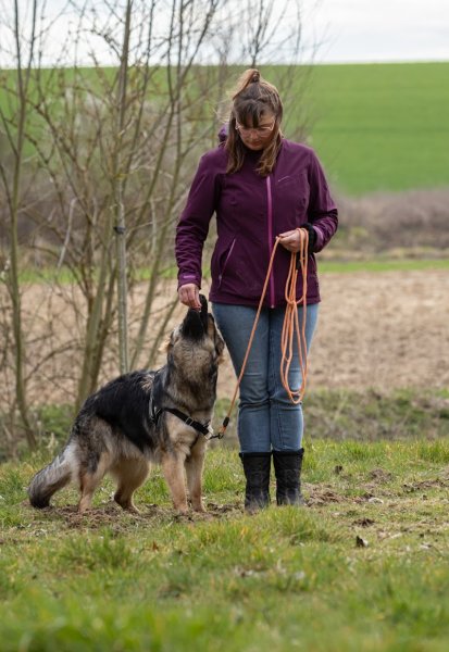 Flair-Play éducation canine - photo 3