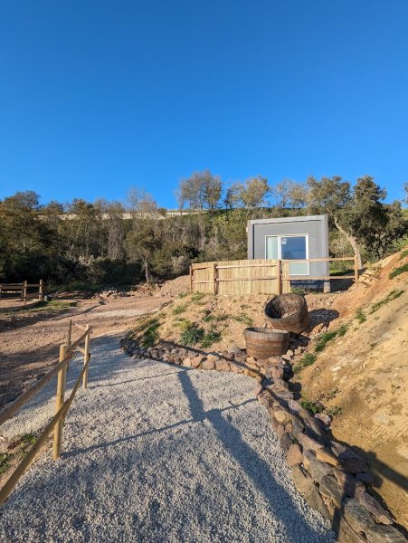 Dog & Trainer - photo 2