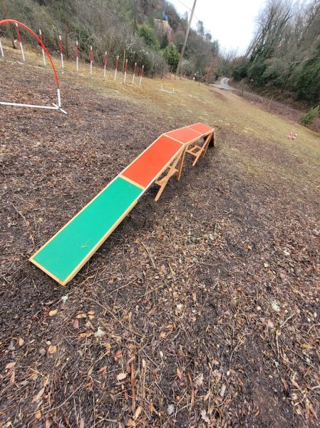 Rebelle dogs educateur et pension canine