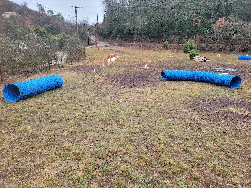 Rebelle dogs educateur et pension canine - photo 3