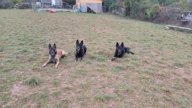 Centre D'education Canine Saint Maximin - photo 2