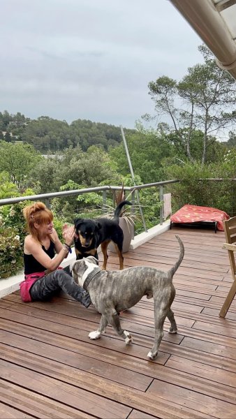 Elodogs - comportementaliste et éducatrice canine