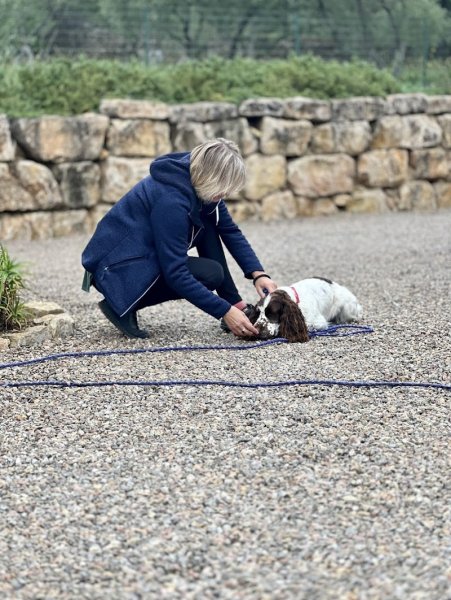 Elodogs - comportementaliste et éducatrice canine - photo 2