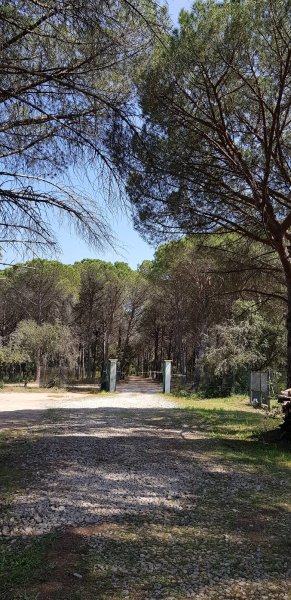 Club canin du Cannet des Maures - photo 2