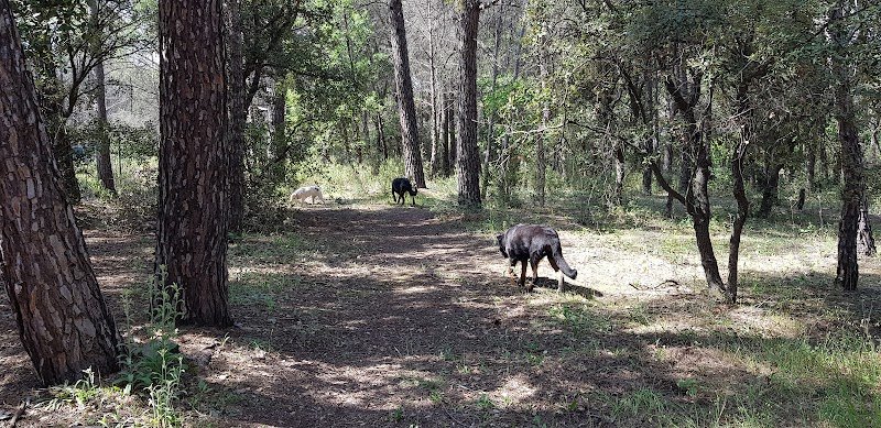 Club canin du Cannet des Maures - photo 3