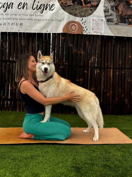 Petsitter professionnelle à votre domicile - Éducation canine & loisirs - Professeur de DOGA 🐾 - photo 3