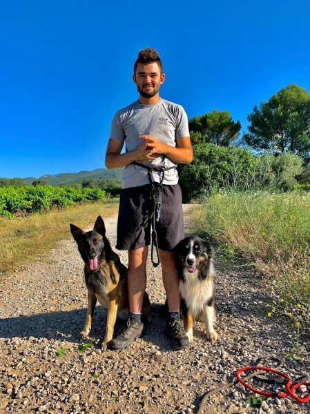 CANIS HARMONIA | Éducateur canin Comportementaliste