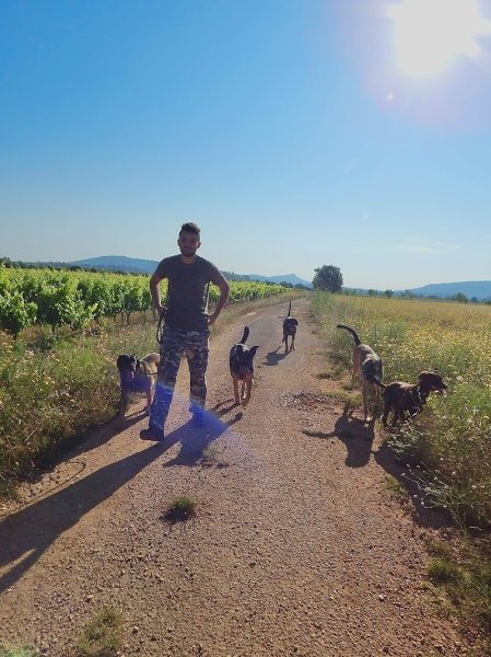 CANIS HARMONIA | Éducateur canin Comportementaliste - photo 2