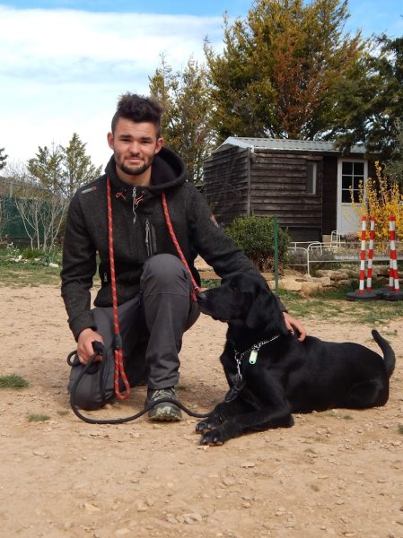 CANIS HARMONIA | Éducateur canin Comportementaliste - photo 3