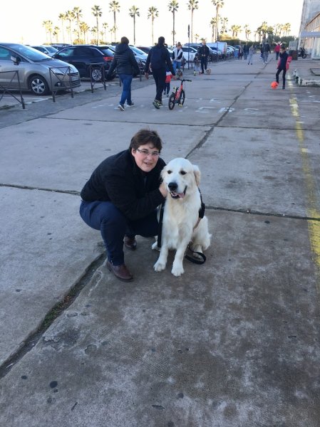 LE MAÎTRE EN LAISSE ÉDUCATION CANINE 83