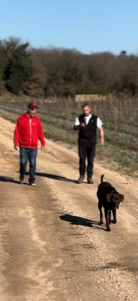 ÉDUC' NANS - Coach canin - Éducateur canin - photo 2