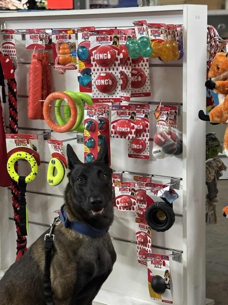 STEPHANIE DELL'ANNO Education Canine Trets ECT ® - photo 2