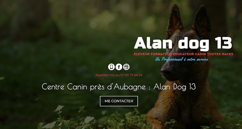 Éducateur Canin Aubagne - ALAN DOG - photo 3