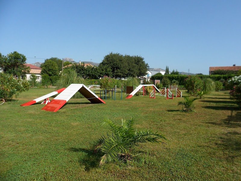 centre d'éducation canine d'Aubagne - photo 1