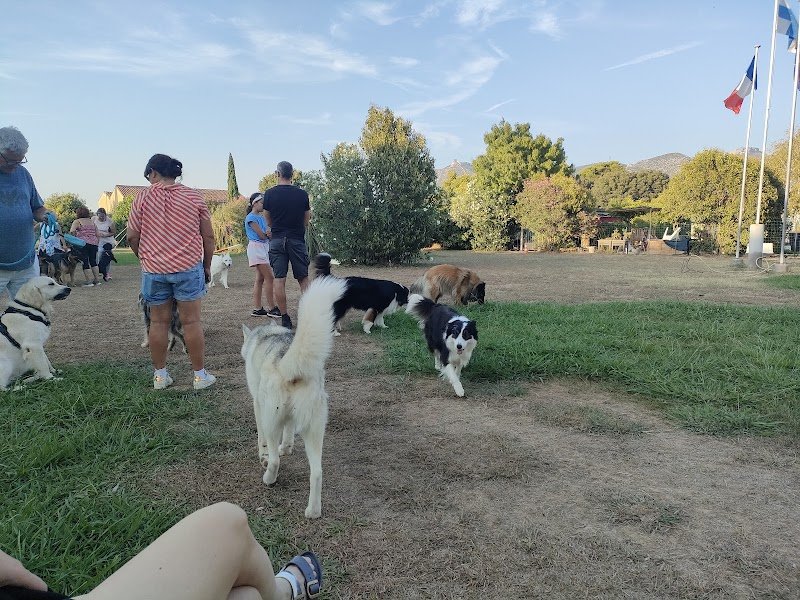 centre d'éducation canine d'Aubagne - photo 2
