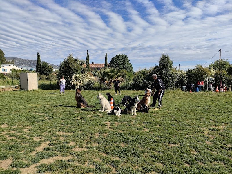 centre d'éducation canine d'Aubagne - photo 3