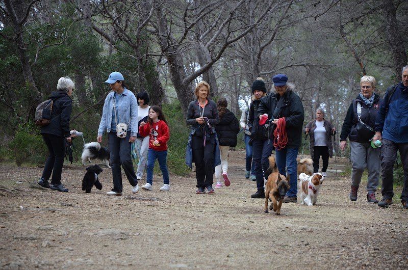 EDUCATEUR CANIN LA MAIN DANS LA PATTE - photo 2
