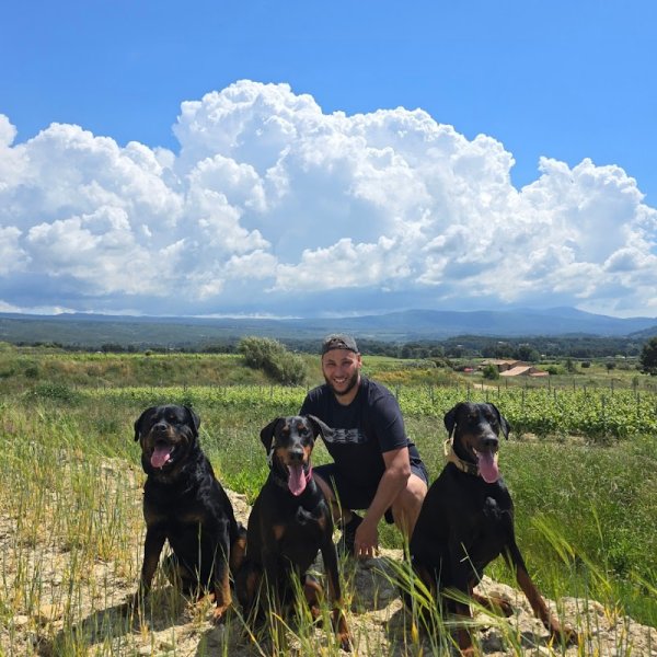 Symbiose Éducateur Canin spécialisé au comportement & psychologie animale