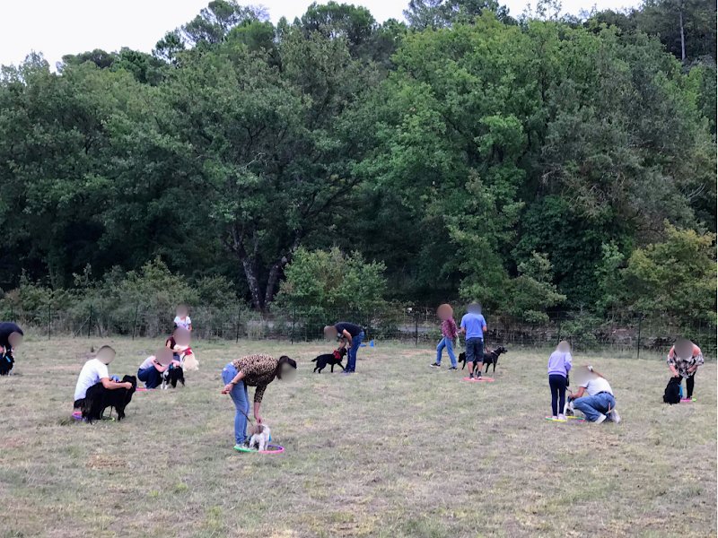Reliance Homme-Animal- Education et comportement canin - photo 1
