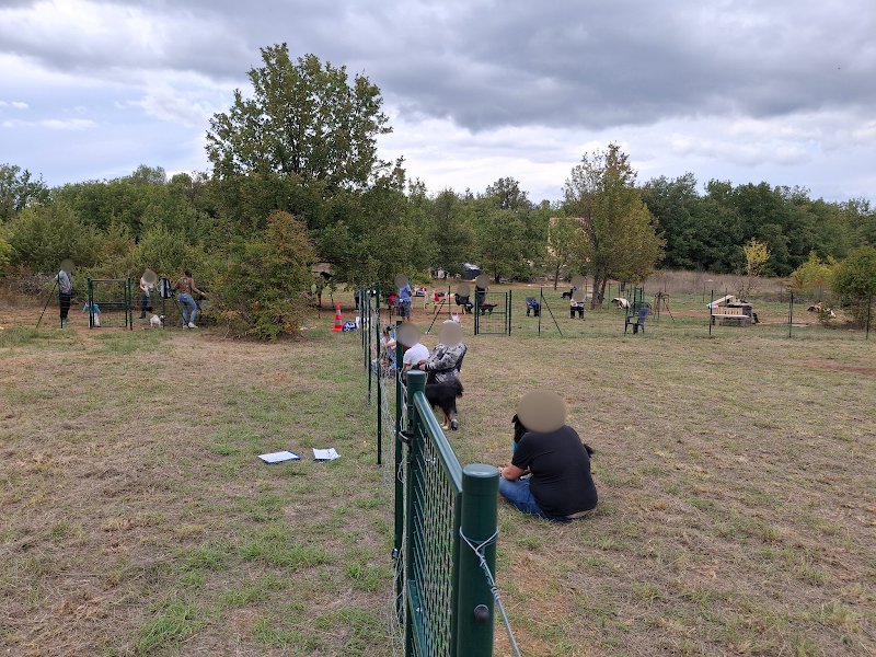 Reliance Homme-Animal- Education et comportement canin - photo 3