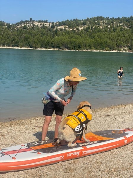 1 vie 2 chiens - photo 2