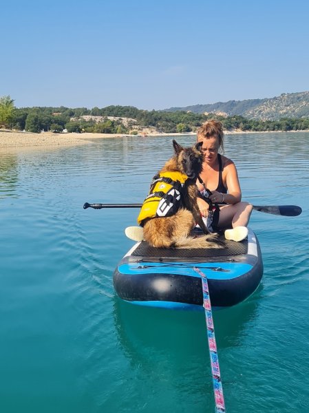 1 vie 2 chiens - photo 3