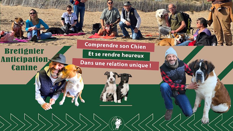 Bretignier Anticipation Canine