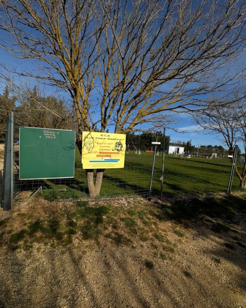 Club Canin Garéoult - photo 3