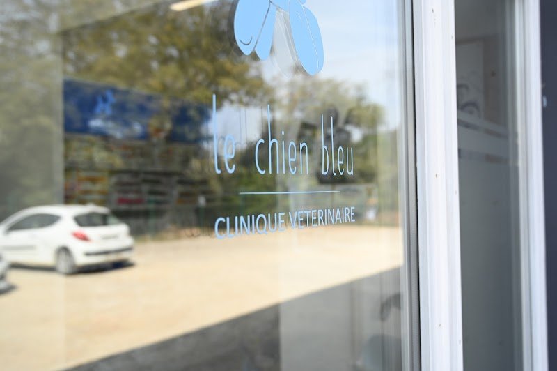 Clinique Vétérinaire Le Chien Bleu Cotignac - photo 2