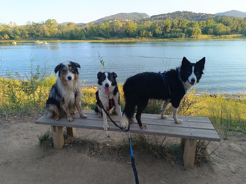 Educ'o Pattes, éducatrice & comportementaliste canin, professeure de Doga - photo 2