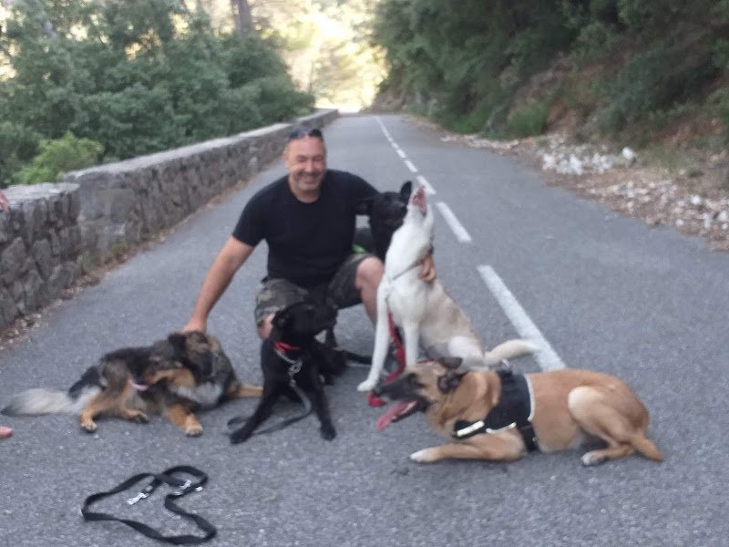 Instinct canin 83 / Éducation canine / Éducateur comportementalisme / troubles du comportement - photo 2