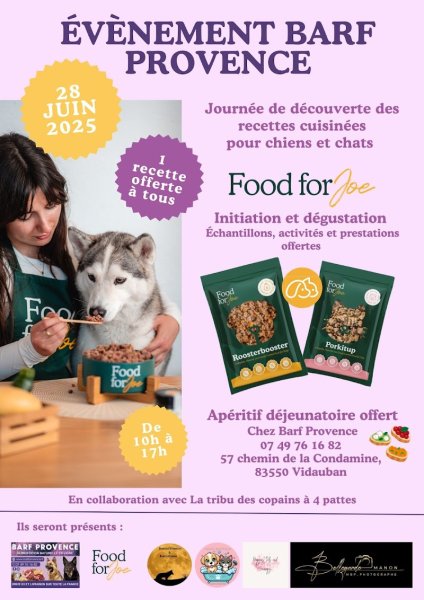 Instinct canin 83 / Éducation canine / Éducateur comportementalisme / troubles du comportement - photo 3