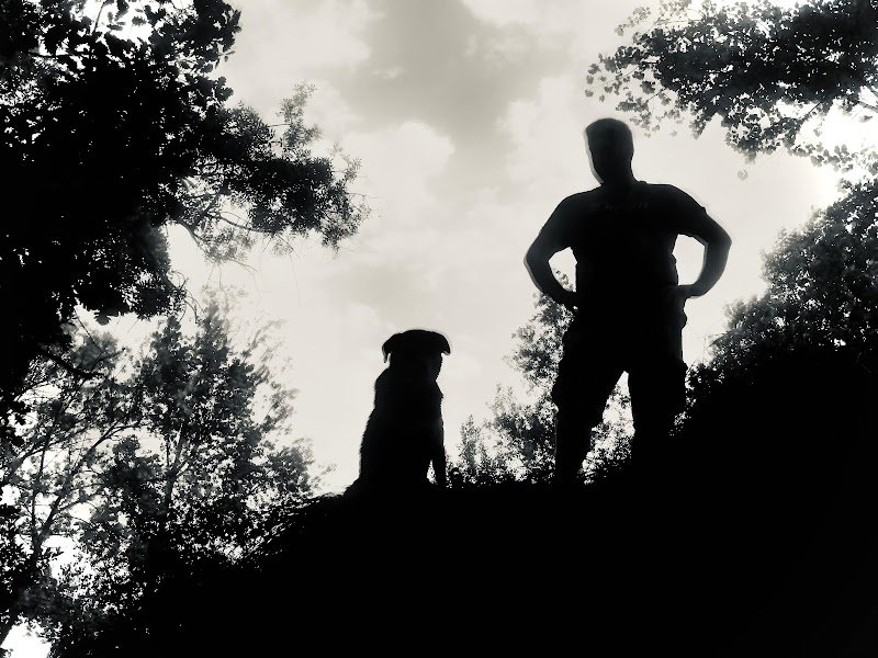 Love n'dog Education canine - Vincent CHADEFAUX