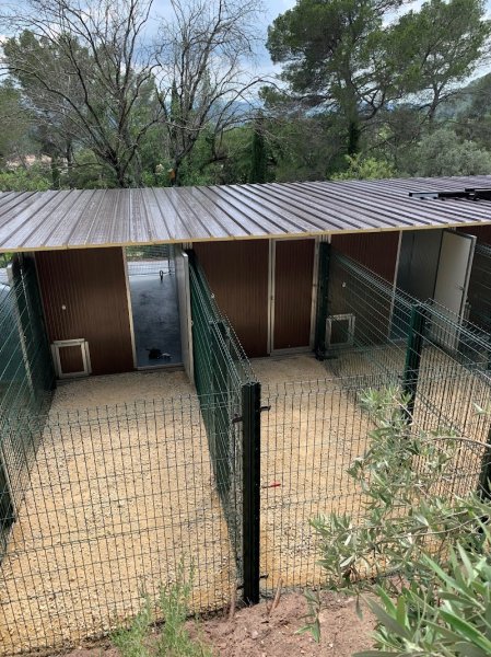 Pension Canine et Toilettage SAMARA - photo 1