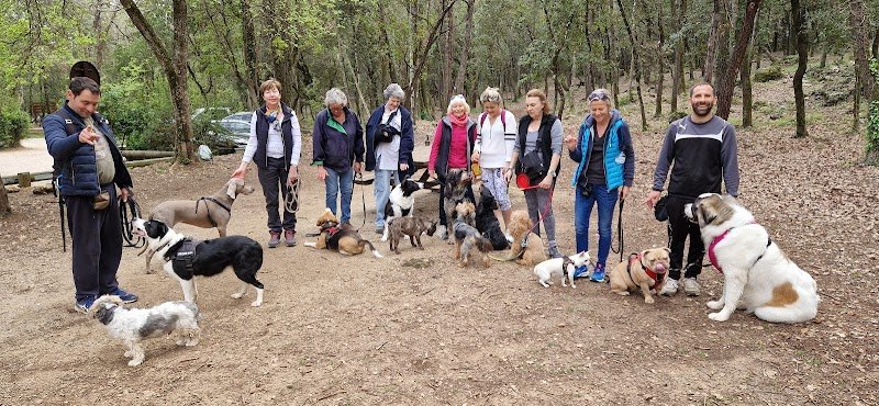 Dressage canin méthode douce - photo 3